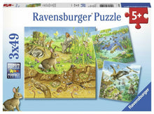 Ravensburger 3x49pc - Animals in their Habitats Puzzle
