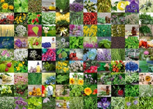 Ravensburger 1000pc - 99 Herbs and Spices Puzzle