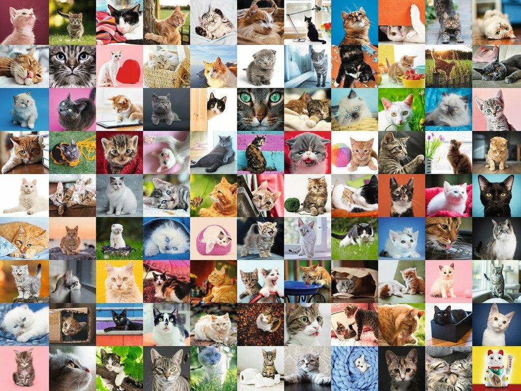 Ravensburger 1500pc - 99 Cats Puzzle
