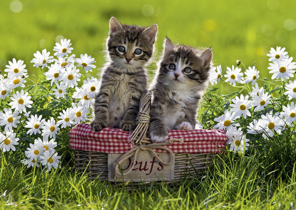 Ravensburger 1000pc - Picnic in the Meadow Puzzle
