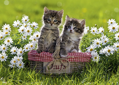 Ravensburger 1000pc - Picnic in the Meadow Puzzle