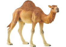 Schleich - Dromedary