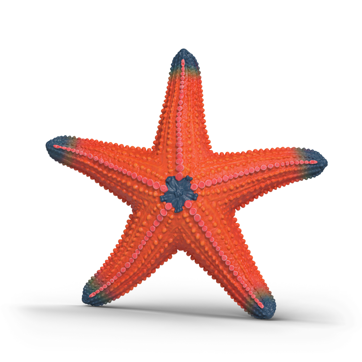 Schleich Color Changing Starfish 14902 realistic Wild Life ocean animal figure with temperature-activated colour-changing feature
