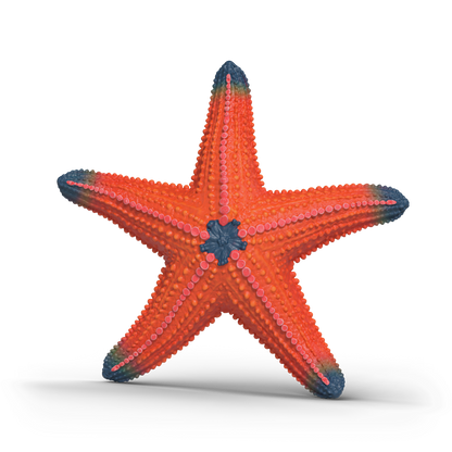 Schleich Color Changing Starfish 14902 realistic Wild Life ocean animal figure with temperature-activated colour-changing feature