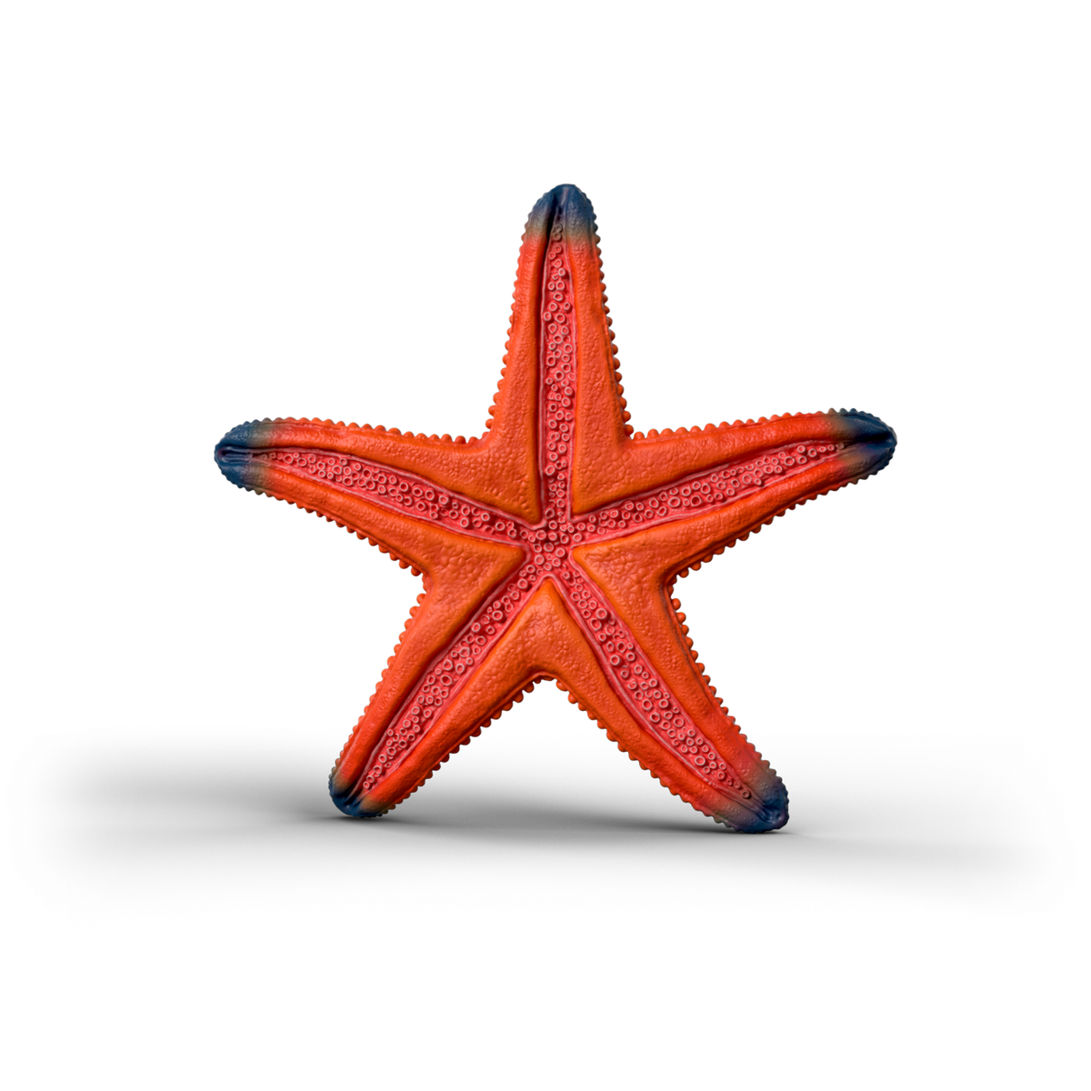 Schleich Color Changing Starfish 14902 realistic Wild Life ocean animal figure with temperature-activated colour-changing feature