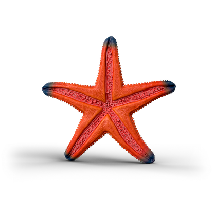 Schleich Color Changing Starfish 14902 realistic Wild Life ocean animal figure with temperature-activated colour-changing feature
