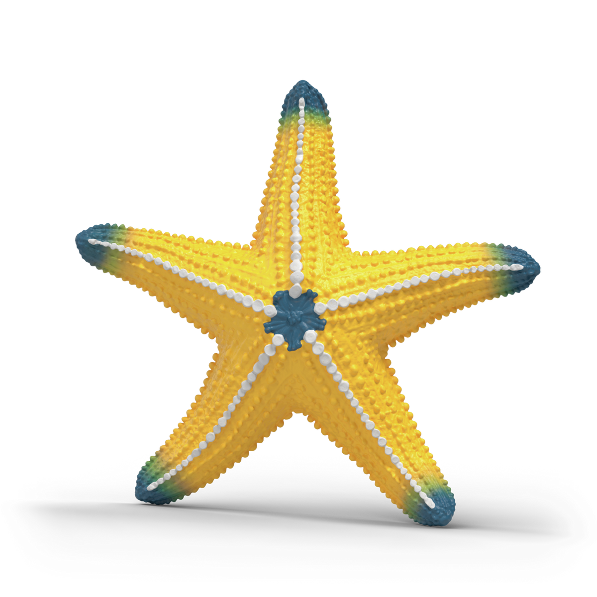 Schleich Color Changing Starfish 14902 realistic Wild Life ocean animal figure with temperature-activated colour-changing feature