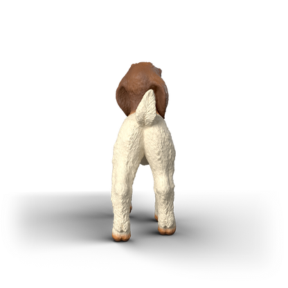 Schleich Boer Goat Kid 14930 hand-painted FARM WORLD goat figurine with realistic white coat and brown head