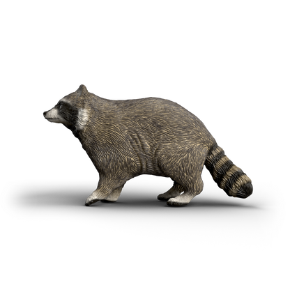 Schleich Raccoon 14937 realistic hand-painted WILD LIFE woodland animal toy figure with striped tail