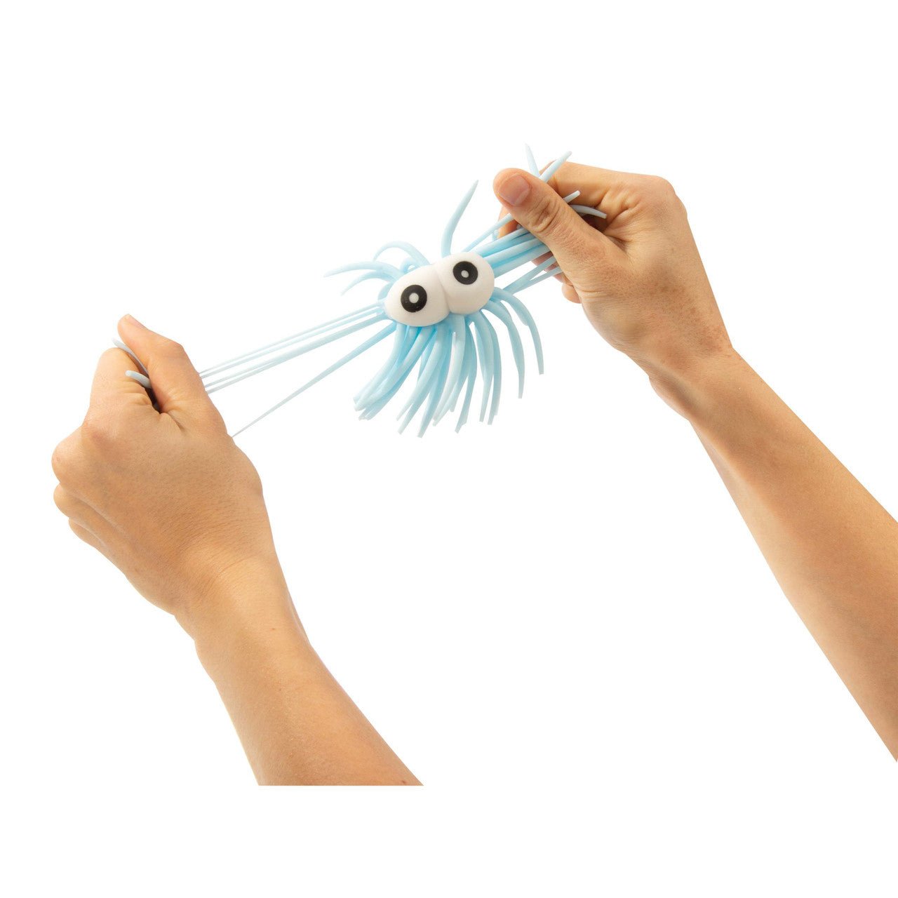 IS Gift - Squiddly Doo