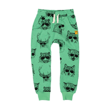 Wild Life Trackpants